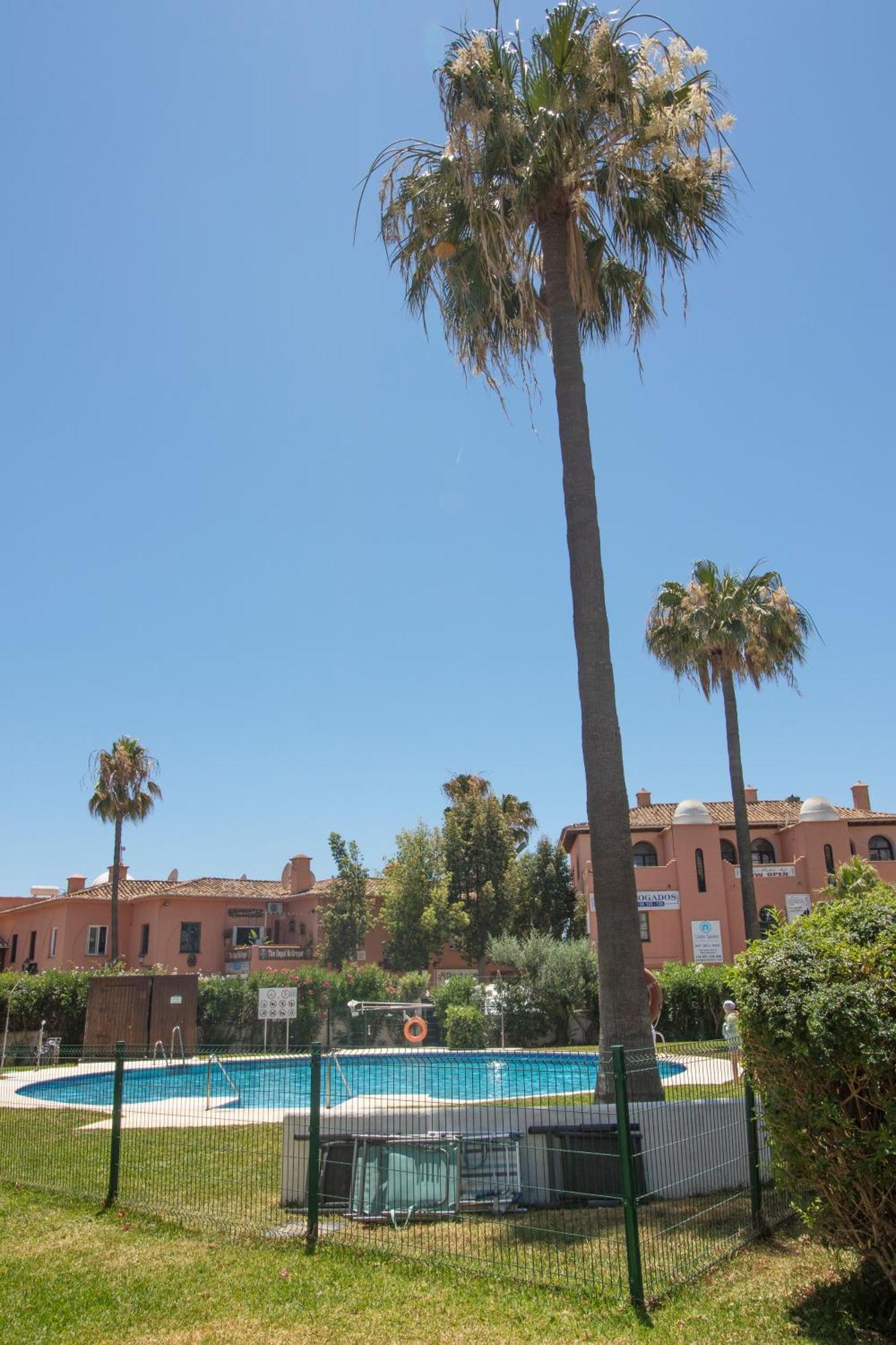 In Calypso,calahonda 200 Metres From The *