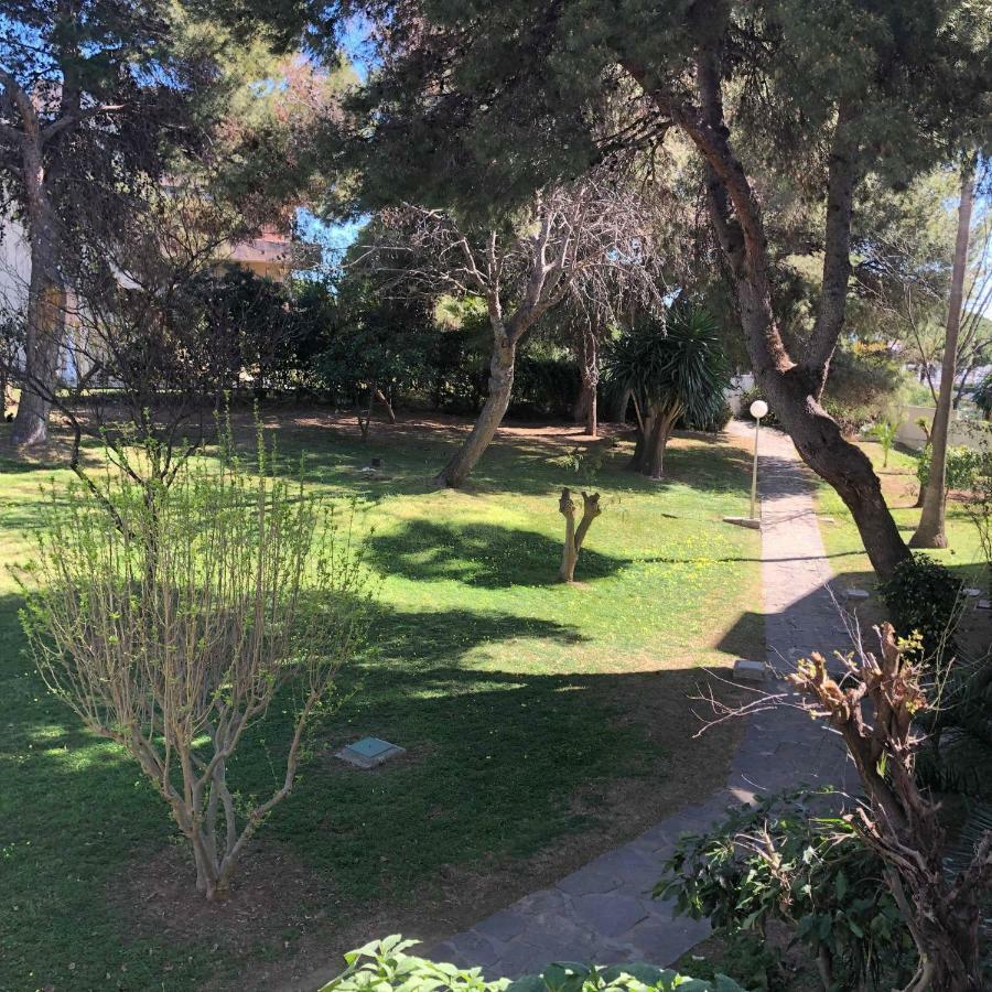 In Calypso,calahonda 200 Metres From The Apartament